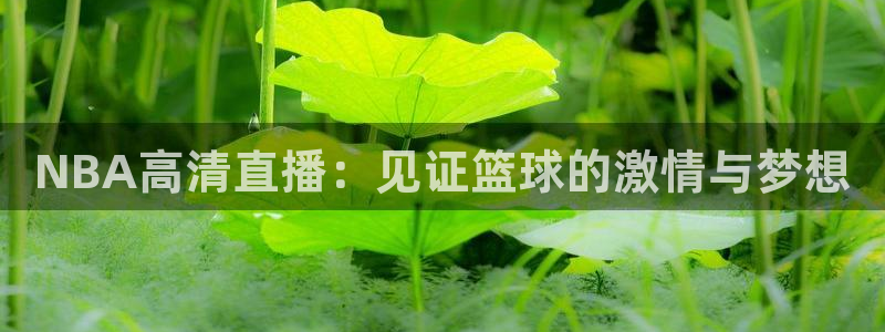 松鼠体育在线直播：NBA高清直播：见证篮球的激情与梦想