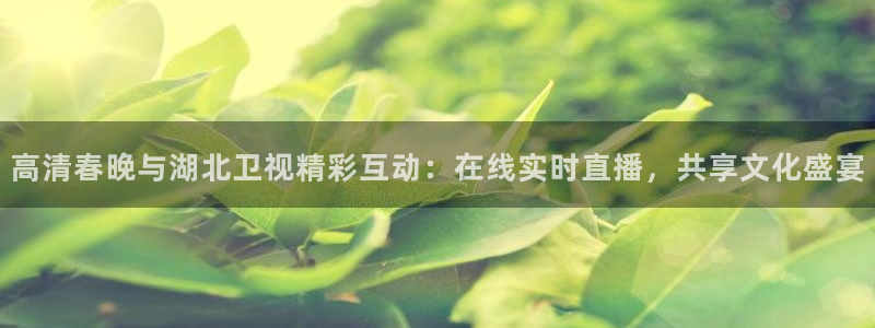 松鼠直播nba：高清春晚与湖北卫视精彩互动：在线实时直播，共享文化盛宴