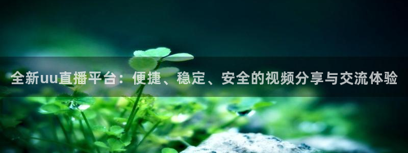松鼠直播tv：全新uu直播平台：便捷、稳定、安全的视频分享与交流体验