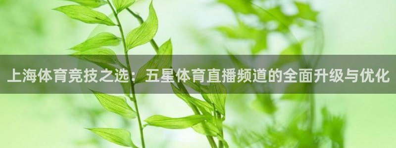 松鼠休闲游戏官网：上海体育竞技之选：五星体育直播频道的全面升级与优化
