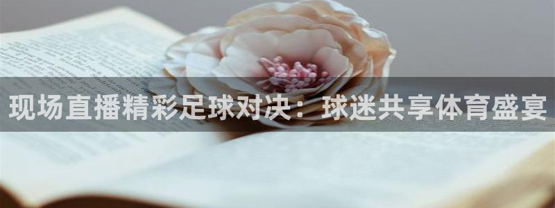 松鼠直播：现场直播精彩足球对决：球迷共享体育盛宴