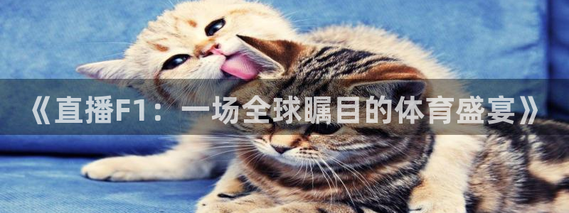 松鼠体育：《直播F1：一场全球瞩目的体育盛宴》