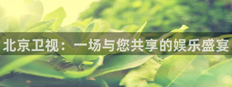 松鼠直播体育：北京卫视：一场与您共享的娱乐盛宴