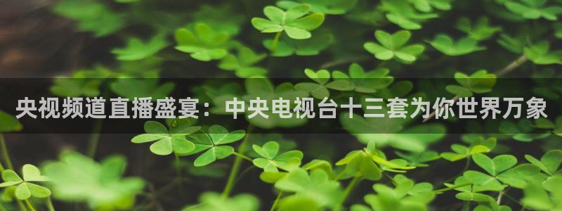 松鼠直播体育免费：央视频道直播盛宴：中央电视台十三套为你世界万象