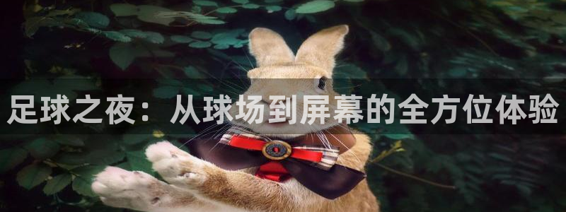 松鼠直播体育免费：足球之夜：从球场到屏幕的全方位体验